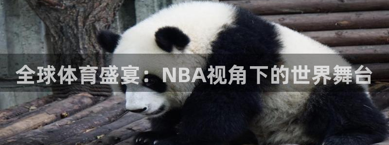 全球体育盛宴：NBA视角下的世界舞台