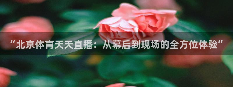 “北京体育天天直播：从幕后到现场的全方位体验”
