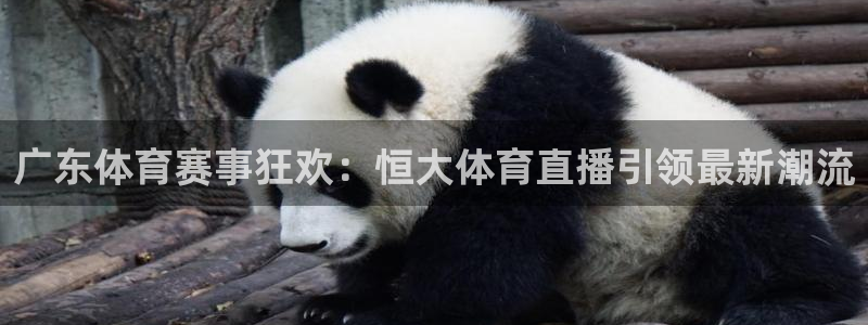 广东体育赛事狂欢：恒大体育直播引领最新潮流