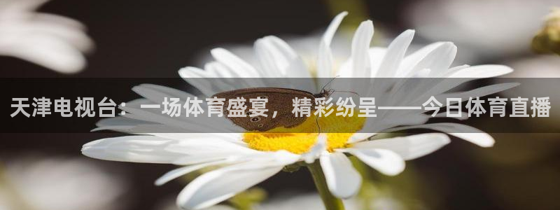 天津电视台：一场体育盛宴，精彩纷呈——今日体育直播