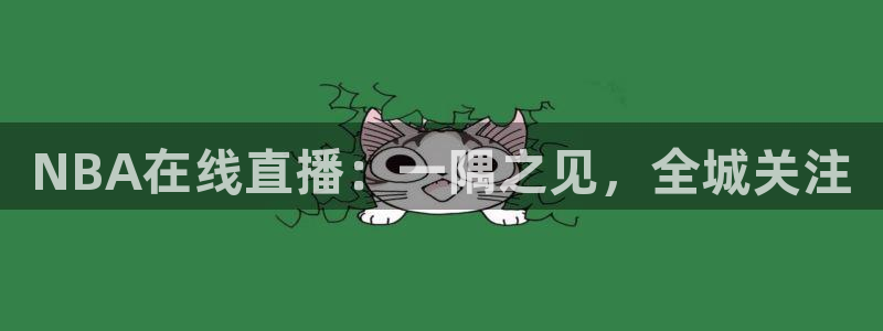 NBA在线直播：一隅之见，全城关注