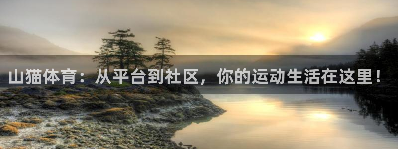 山猫体育：从平台到社区，你的运动生活在这里！