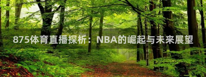 875体育直播探析：NBA的崛起与未来展望