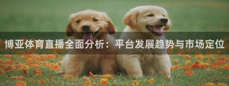 博亚体育直播全面分析：平台发展趋势与市场定位