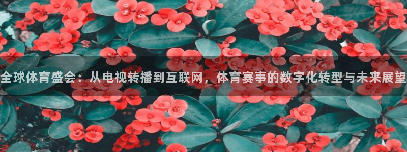 全球体育盛会：从电视转播到互联网，体育赛事的数字化转型与未来展望