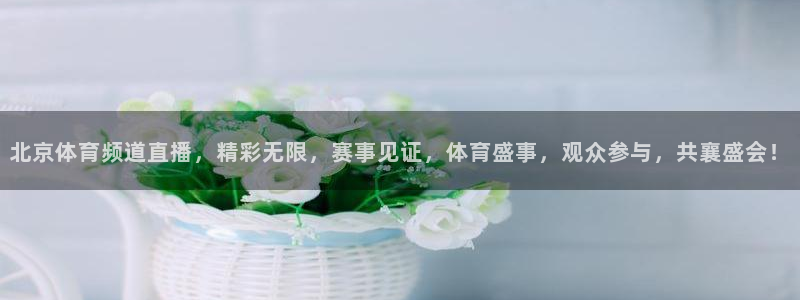 北京体育频道直播，精彩无限，赛事见证，体育盛事，观众参与，共襄盛会！