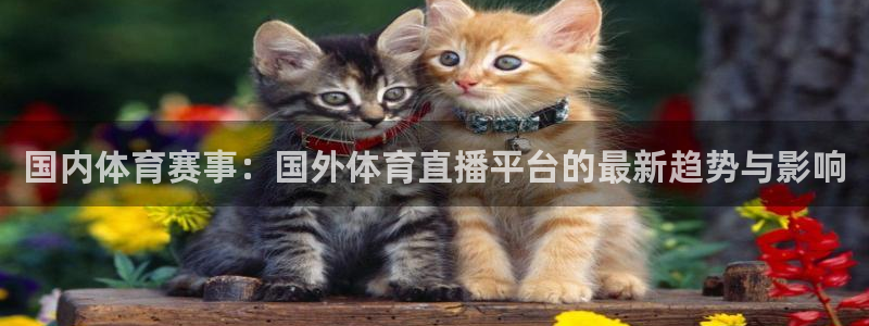 国内体育赛事：国外体育直播平台的最新趋势与影响