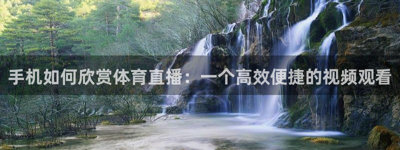 手机如何欣赏体育直播：一个高效便捷的视频观看