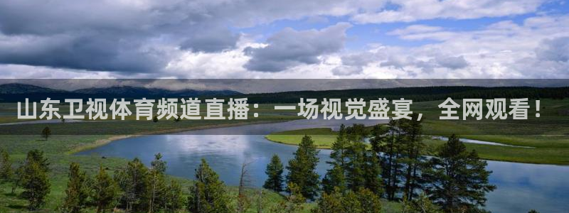 山东卫视体育频道直播：一场视觉盛宴，全网观看！