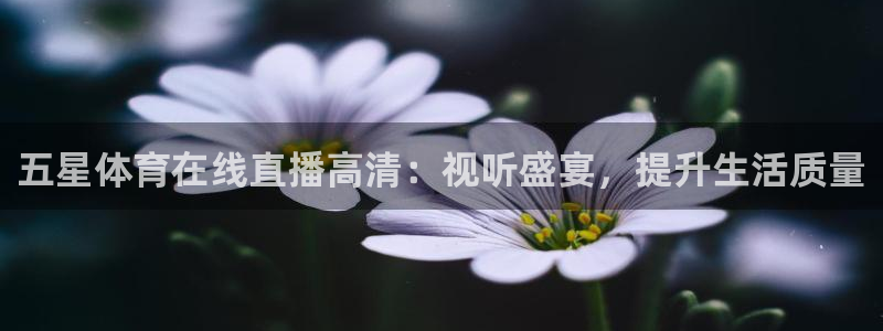 五星体育在线直播高清：视听盛宴，提升生活质量