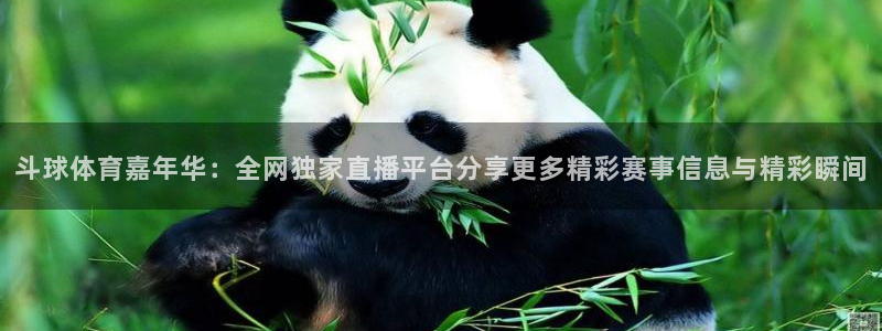 斗球体育嘉年华：全网独家直播平台分享更多精彩赛事信息与精彩瞬间