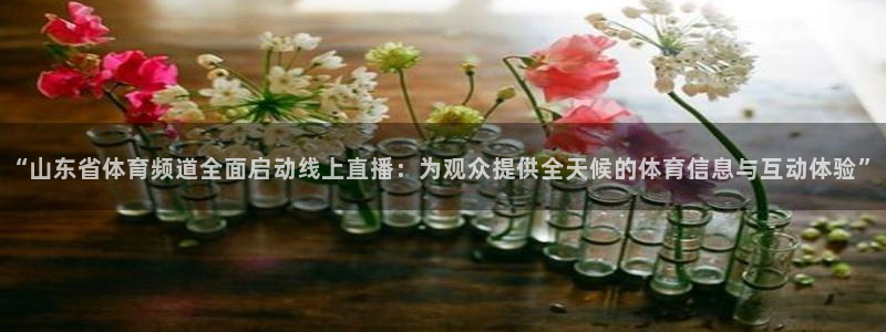 “山东省体育频道全面启动线上直播：为观众提供全天候的体育信息与互动体验”