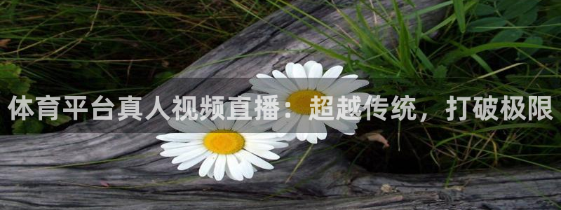体育平台真人视频直播：超越传统，打破极限