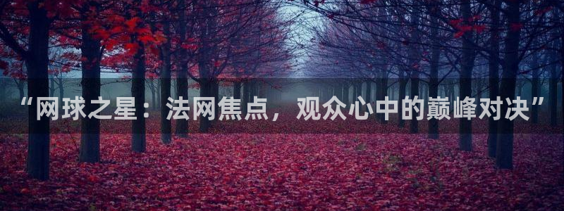 “网球之星：法网焦点，观众心中的巅峰对决”