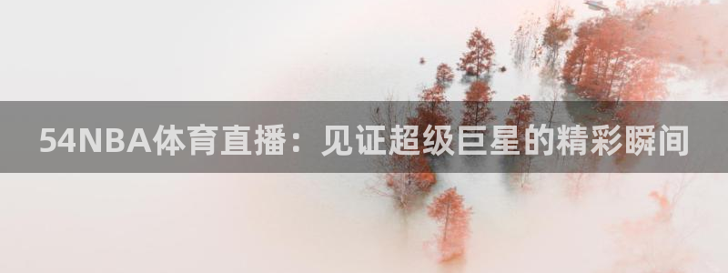 54NBA体育直播：见证超级巨星的精彩瞬间