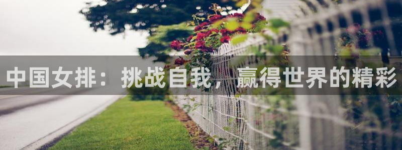 中国女排：挑战自我，赢得世界的精彩