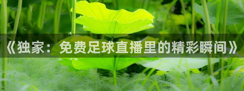《独家：免费足球直播里的精彩瞬间》