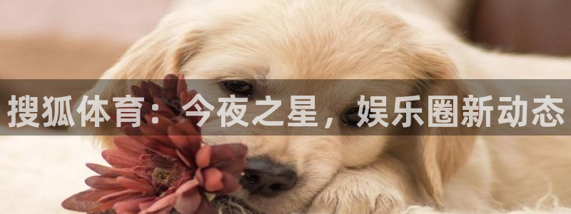 搜狐体育：今夜之星，娱乐圈新动态