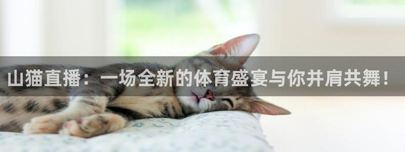 山猫直播：一场全新的体育盛宴与你并肩共舞！