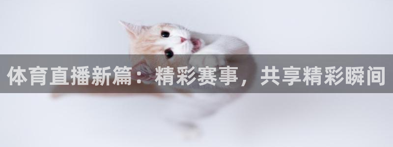 体育直播新篇：精彩赛事，共享精彩瞬间
