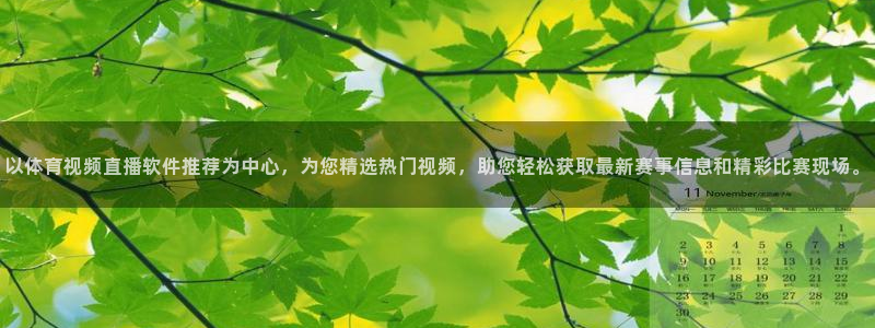 以体育视频直播软件推荐为中心，为您精选热门视频，助您轻松获取最新赛事信息和精彩比赛现场。
