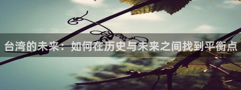 台湾的未来：如何在历史与未来之间找到平衡点
