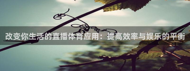 改变你生活的直播体育应用：提高效率与娱乐的平衡