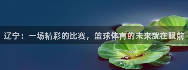 辽宁：一场精彩的比赛，篮球体育的未来就在眼前