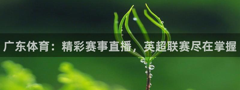 广东体育：精彩赛事直播，英超联赛尽在掌握