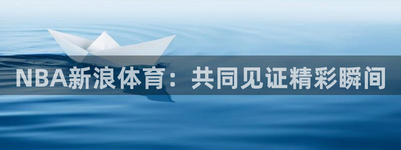 NBA新浪体育：共同见证精彩瞬间