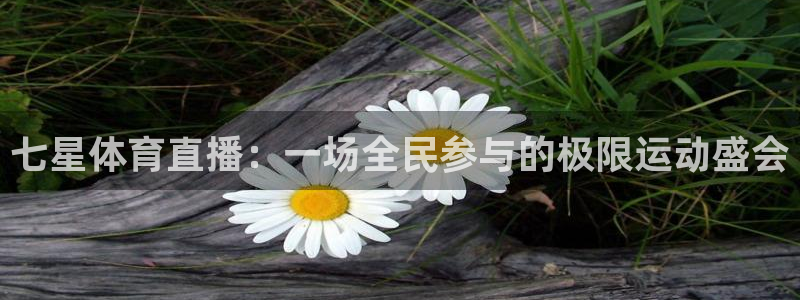 七星体育直播：一场全民参与的极限运动盛会
