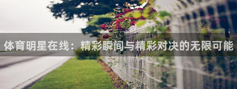 体育明星在线：精彩瞬间与精彩对决的无限可能