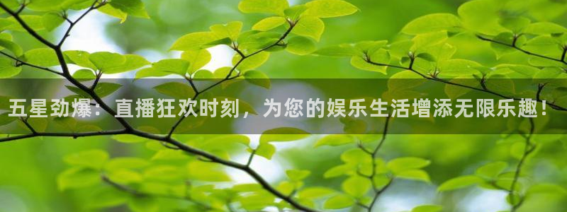 五星劲爆：直播狂欢时刻，为您的娱乐生活增添无限乐趣！