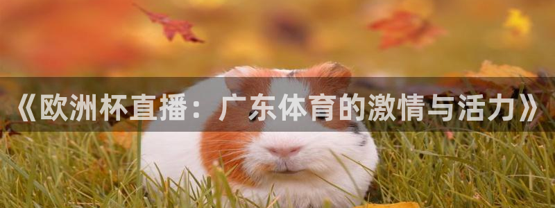 《欧洲杯直播：广东体育的激情与活力》