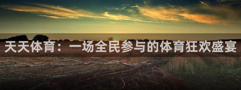 天天体育：一场全民参与的体育狂欢盛宴